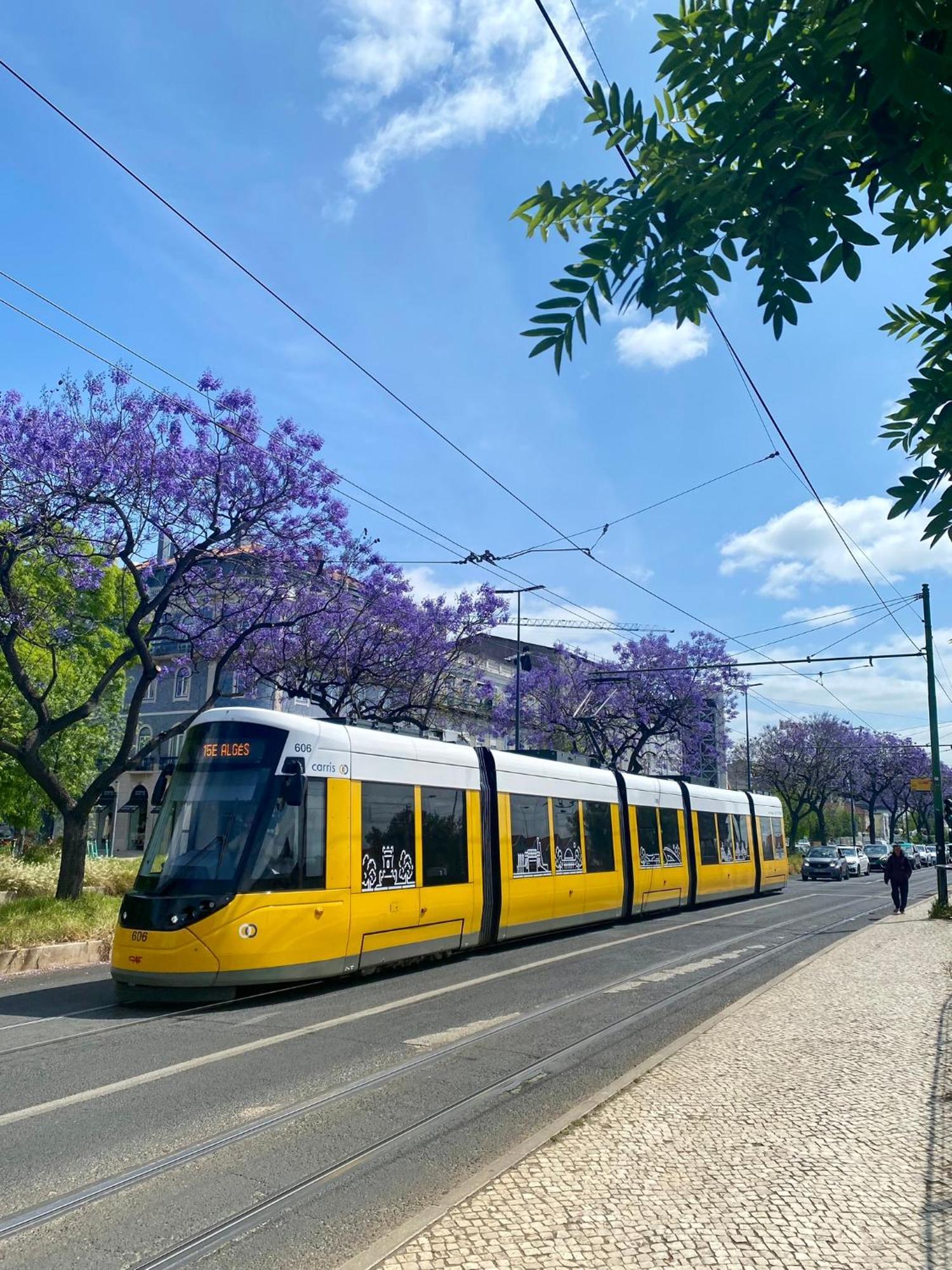 New Luxury Apartment - Lisbon Center エクステリア 写真